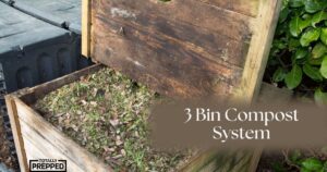 3 bin compost system and hands holding compost