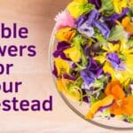 Edible Flowers in a glass bowl