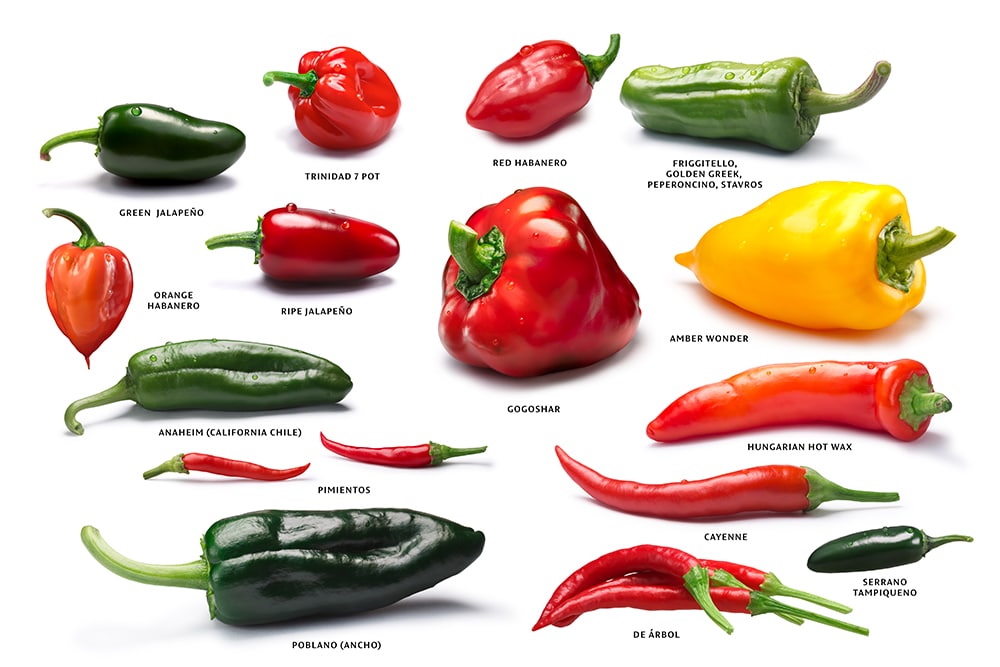 A variety of peppers labeled with the names