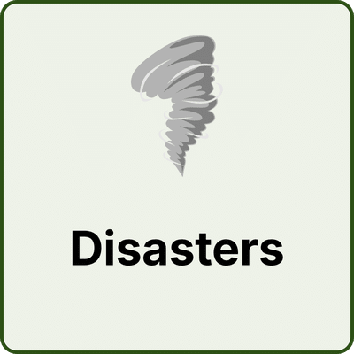 Category tile labeled 'Disasters' with a stylized tornado icon above the text on a pale background.