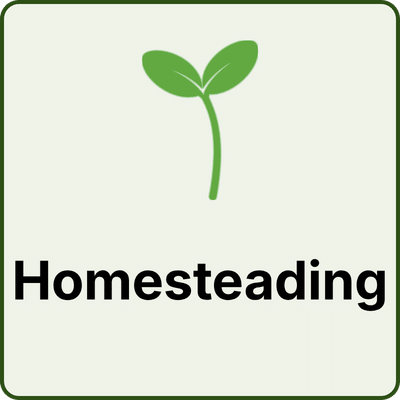 Green seedling over the word homesteading 